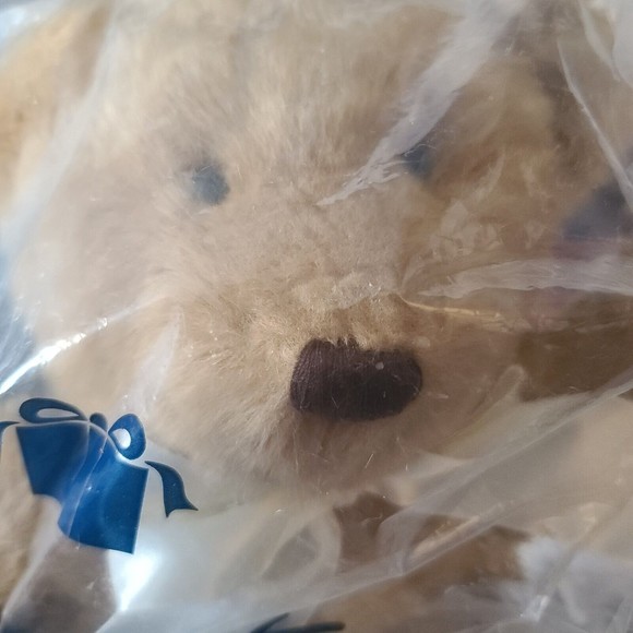 Avon Me & My Mommy Bear Photo Plush 2003 Sealed - Picture 9 of 9